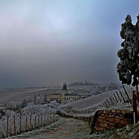 Апартаменти Auszeit Rheingauer Rosengasse Johannisberg Екстер'єр фото