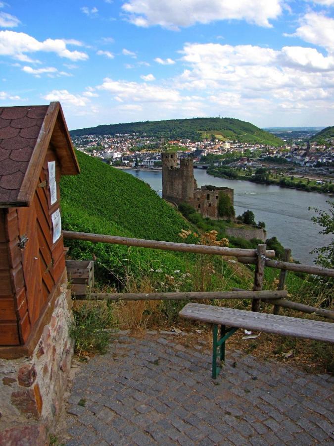 Апартаменти Auszeit Rheingauer Rosengasse Johannisberg Екстер'єр фото